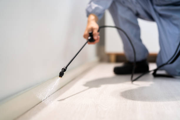 Rodent Entry Point Assessment in Corona