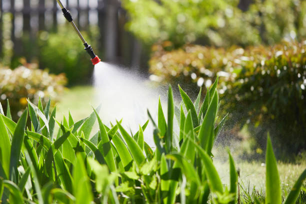 Tamper-Resistant Bait Stations for Rodents in Corona